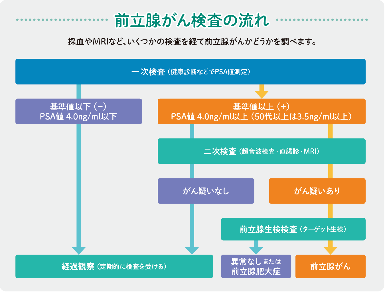 前立腺がん検査の流れ